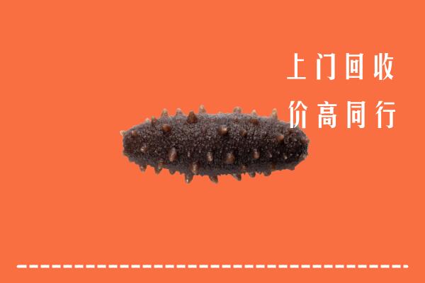 怒江州福贡回收海参