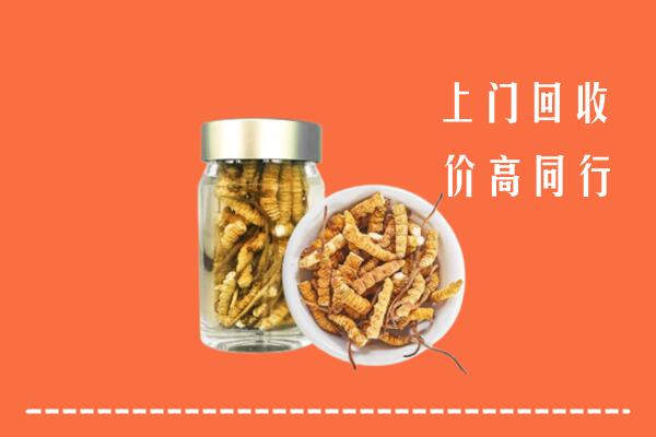 怒江州福贡回收冬虫夏草