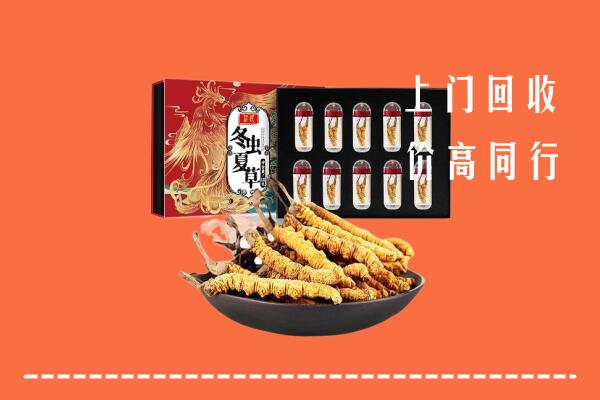 怒江州福贡回收虫草